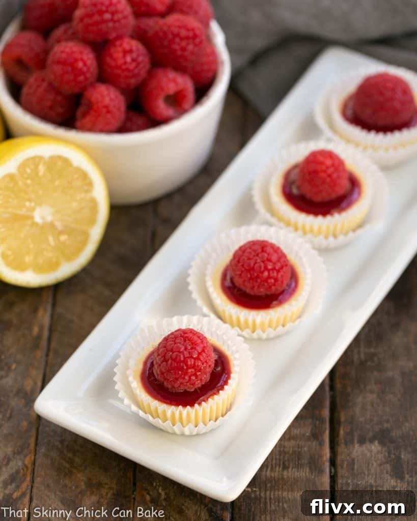 An overhead view of a beautiful white dessert platter generously filled with an array of bite-sized mini cheesecakes, each impeccably topped with a swirl of vibrant raspberry sauce and a fresh, glistening raspberry.