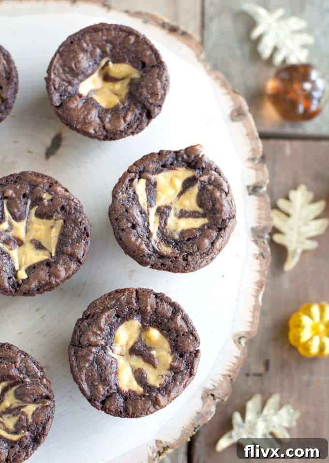 Delicious Pumpkin Cheesecake Brownie Bites with a clear cheesecake swirl, neatly arranged.