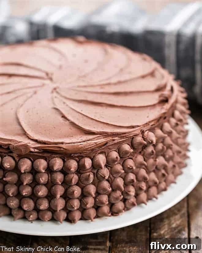 A stunning, expertly decorated chocolate cake with a visible layer of creamy cheesecake filling.