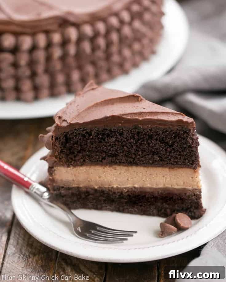 Candy Bar Cheesecake: A sublime combination of a rich chocolate layer cake and creamy milk chocolate cheesecake!
