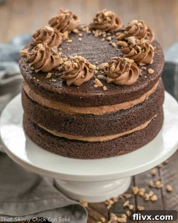 Triple Layer Chocolate Toffee Cake | 3 rich chocolate layers filled with chocolate buttercream and toffee bits