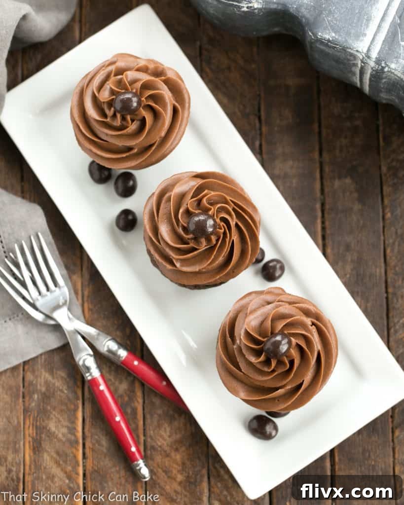 Overhead view of frosted chocolate mocha cupcakes, beautifully arranged