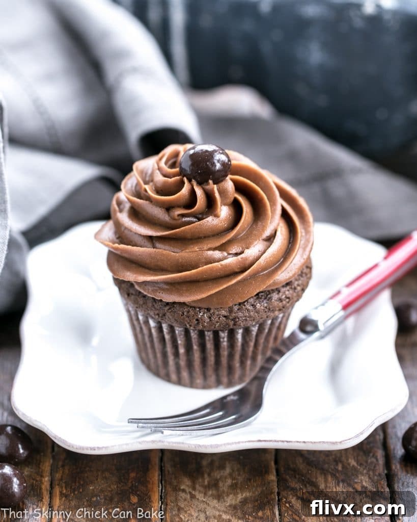 Single frosted chocolate mocha cupcakes presented beautifully