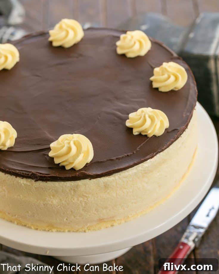 Boston cream pie cheesecake on a white cake stand, ready to be served.