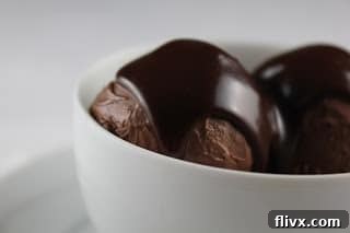 Chocolate Ice Cream with Fudge Sauce in a elegant white bowl, garnished with a sprig of mint, highlighting its luxurious appearance.