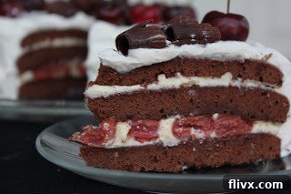 Assembling a Black Forest Cherry Cake layer by layer