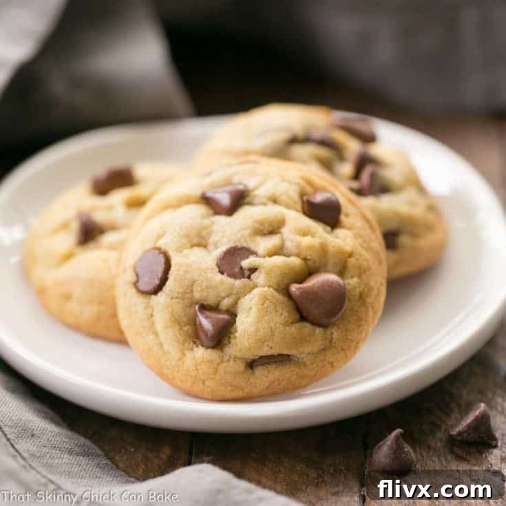 Double Chocolate Chip Cookies - chewy with milk and semisweet chocolate chips!