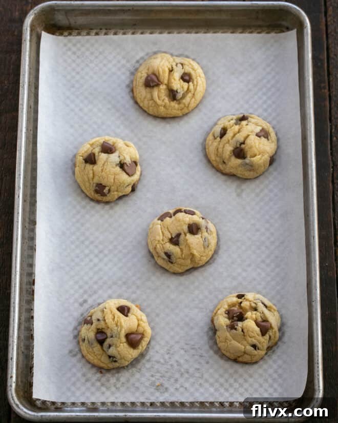 Step 5: Freshly baked Double Chocolate Chip Cookies, golden brown and perfectly puffed, are cooling on a wire rack after being removed from the oven.