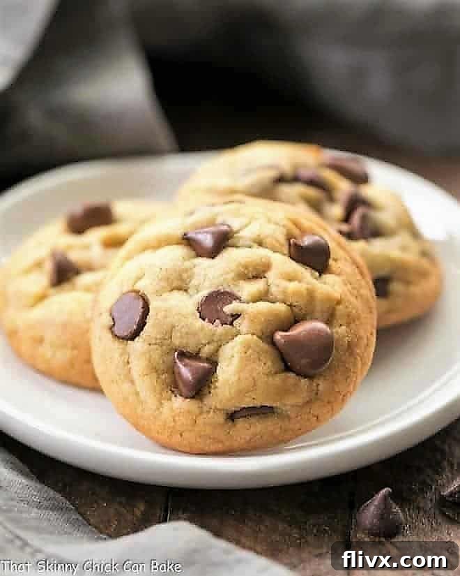 A small stack of two Double Chocolate Chip Cookies on a delicate white plate, showcasing their inviting texture and rich chocolate chips.