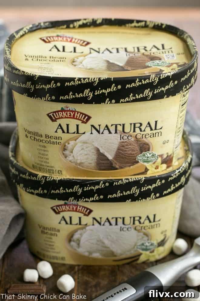 A scoop of rich and creamy Turkey Hill All Natural Ice Cream, highlighting its premium quality and delicious texture.