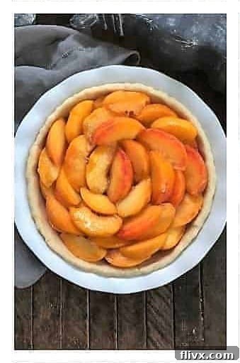 Step 3: Freshly peeled and sliced peaches carefully arranged in an abundant layer over the crumb topping.