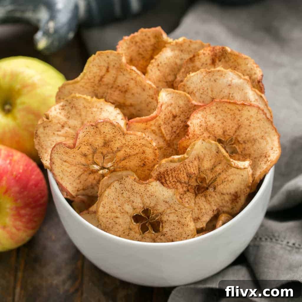 Crispy Cinnamon Apple Chips, a simple 3-ingredient snack.