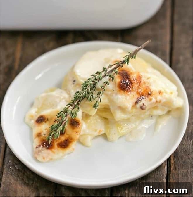 French potato gratin featured image