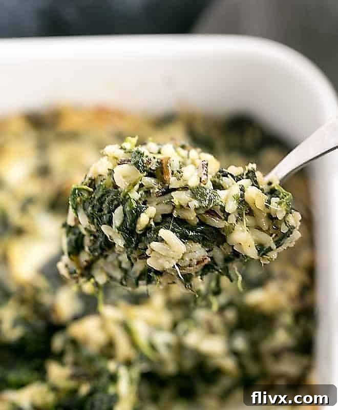 A spoonful of fully cooked cheesy spinach rice casserole, showing its creamy texture.