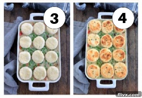 Chicken pot pie process shots 3 and 4. Casserole with biscuits added then casserole baked.