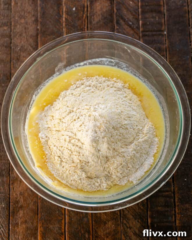 Dry ingredients added to bowl.