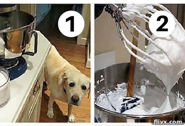 Step-by-step visuals showing egg whites being beaten and ingredients gathered for mini pavlovas