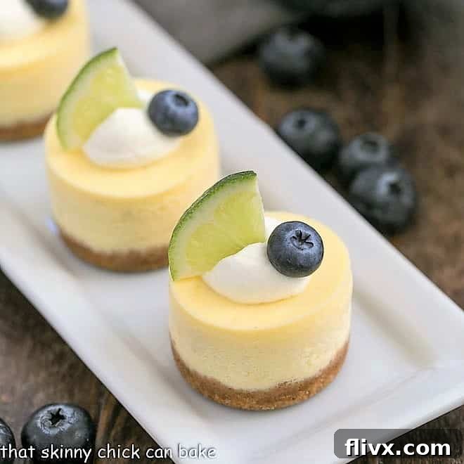 Mini Margarita Cheesecakes on a white tray ready for serving