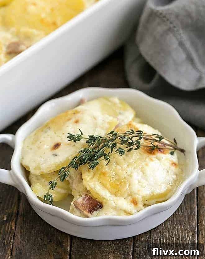 Baked scalloped potatoes in a casserole dish, hot and browned.