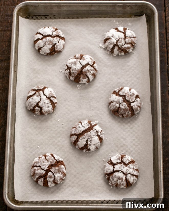 Earthquake Cookies Step 9: Freshly baked chocolate crinkle cookies with prominent cracks, cooling on a baking sheet.