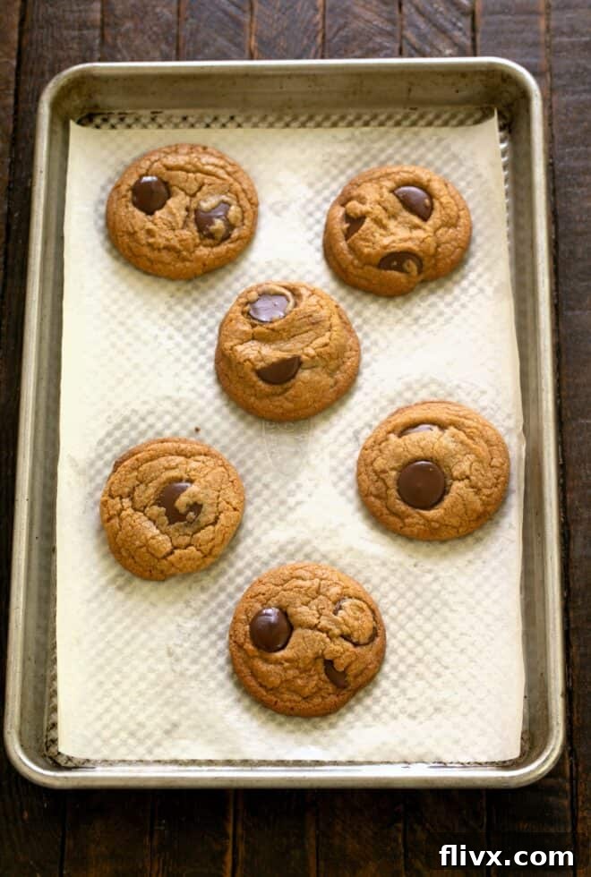 Freshly baked Brown Butter Chocolate Chip Cookies on a sheetpan, cooling slightly after being removed from the oven.