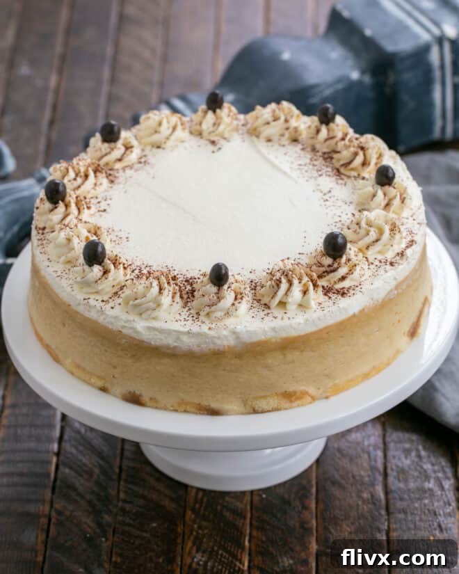 Tiramisu Cheesecake on a white ceramic cake stand, showcasing its beautiful layers of coffee-soaked ladyfingers, creamy cheesecake, and light mascarpone topping.