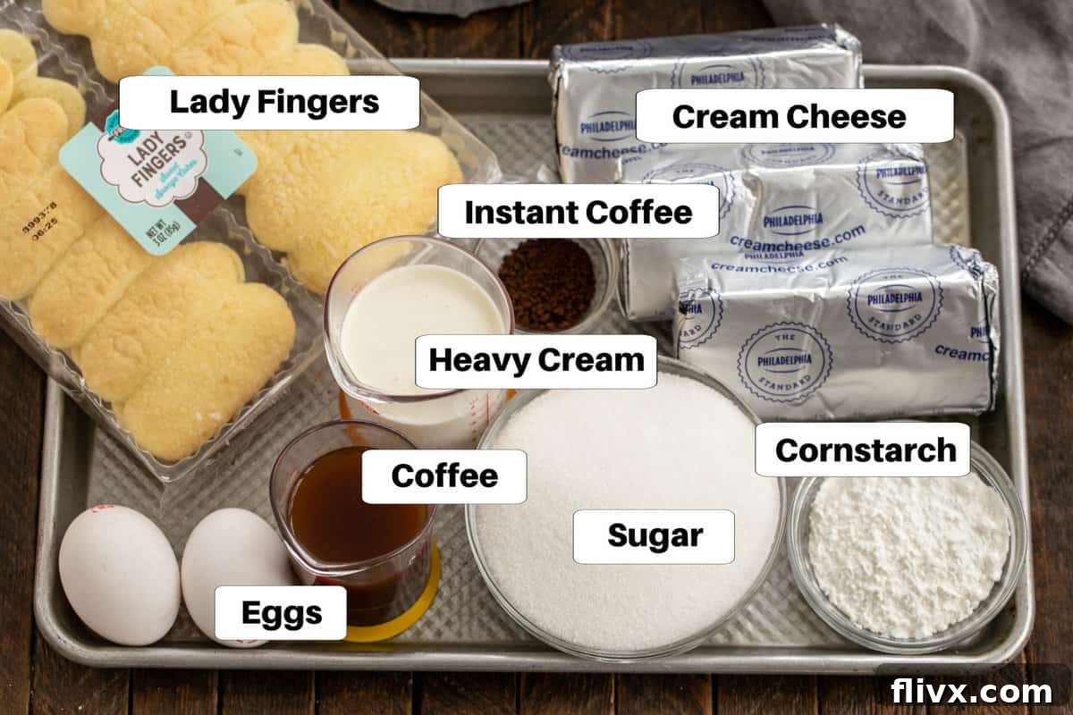 Tiramisu cheesecake ingredients with labels on a sheetpan, showing cream cheese, sugar, eggs, cornstarch, heavy cream, instant coffee, and vanilla extract.