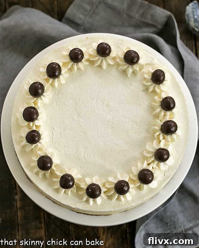 Overhead view of a complete Tiramisu Cheesecake on a white cake stand, garnished with cocoa powder.