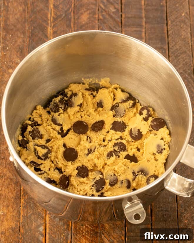 Step 3: Folding in premium chocolate discs or chips into the cookie dough.