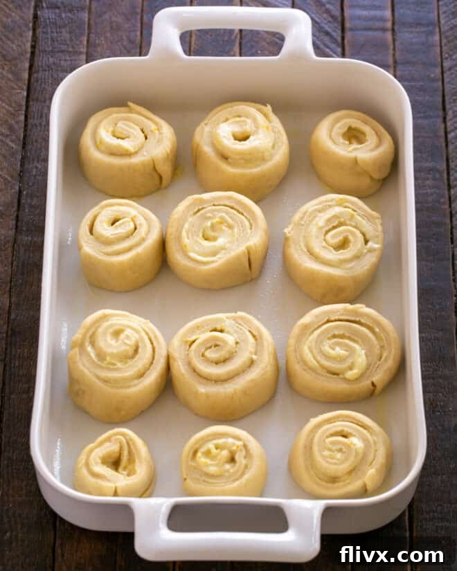 Fluffy Orange Glazed Rolls 15 Individual orange rolls placed neatly in a greased 9 x 13-inch baking pan.